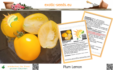 Tomate * Plum Lemon * 20 Samen